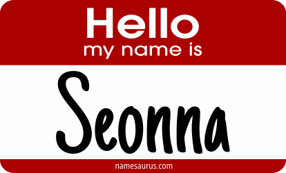 Hello my name is Seonna png download