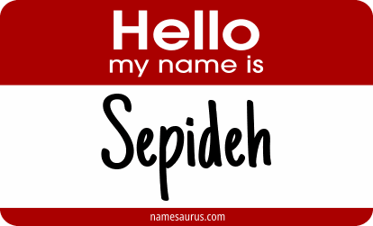 Hello my name is Sepideh png download