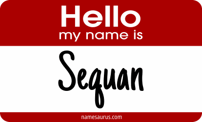 Hello my name is Sequan png download