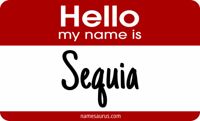 Hello my name is Sequia png download