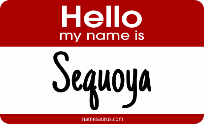 Hello my name is Sequoya png download