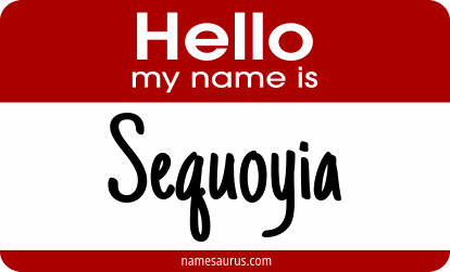 Hello my name is Sequoyia png download