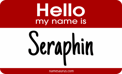 Hello my name is Seraphin png download