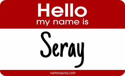 Hello my name is Seray png download