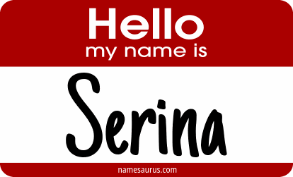 Hello my name is Serina png download