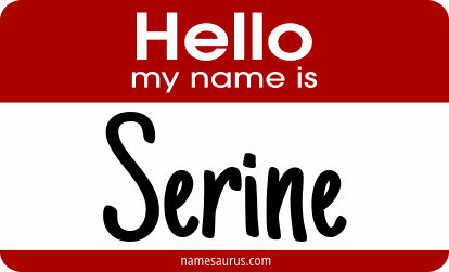 Hello my name is Serine png download