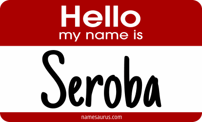Hello my name is Seroba png download