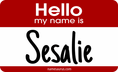 Hello my name is Sesalie png download