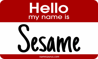 Hello my name is Sesame png download