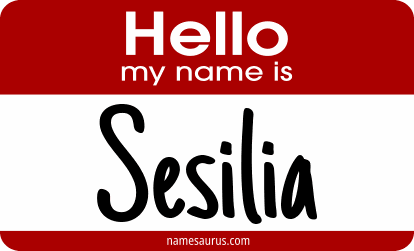 Hello my name is Sesilia png download