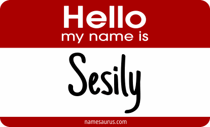 Hello my name is Sesily png download