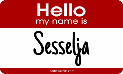 Hello my name is Sesselja png download