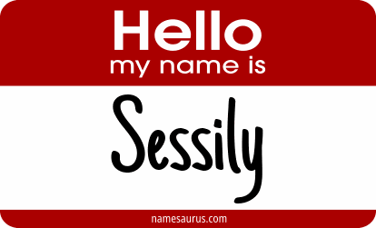 Hello my name is Sessily png download