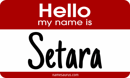 Hello my name is Setara png download