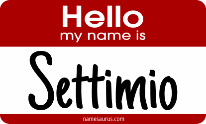Hello my name is Settimio png download