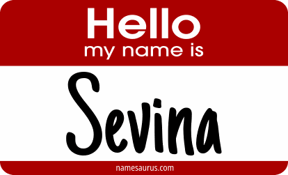Hello my name is Sevina png download