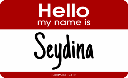 Hello my name is Seydina png download