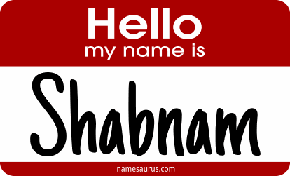 Hello my name is Shabnam png download