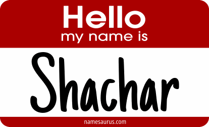 Hello my name is Shachar png download