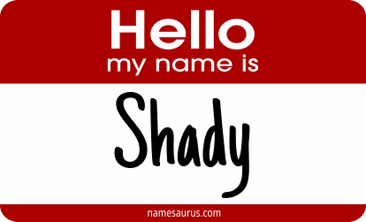 Hello my name is Shady png download