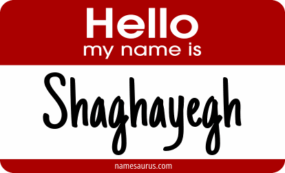 Hello my name is Shaghayegh png download