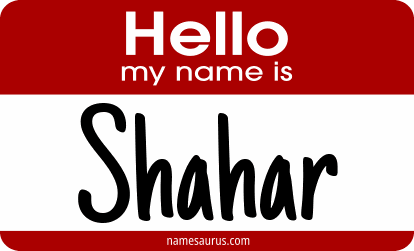Hello my name is Shahar png download