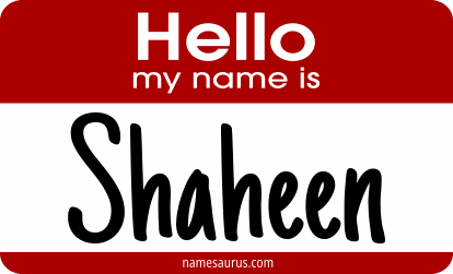 Hello my name is Shaheen png download