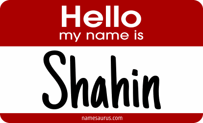 Hello my name is Shahin png download
