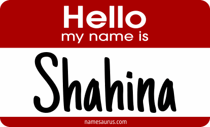 Hello my name is Shahina png download
