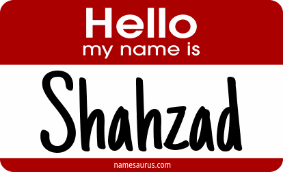 Hello my name is Shahzad png download