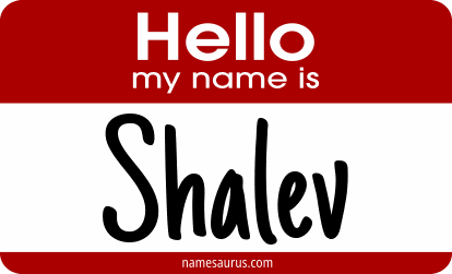 Hello my name is Shalev png download