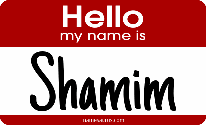 Hello my name is Shamim png download