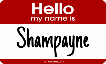 Hello my name is Shampayne png download