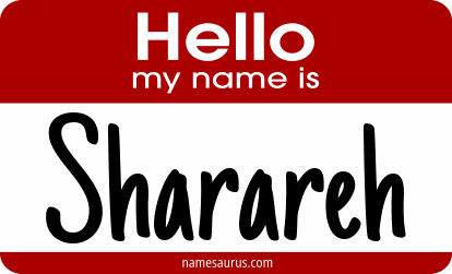 Hello my name is Sharareh png download