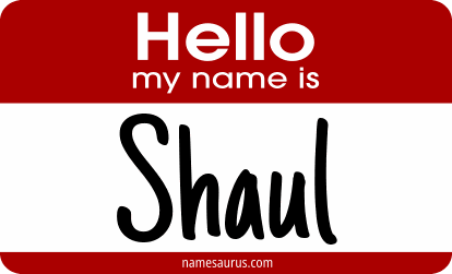 Hello my name is Shaul png download