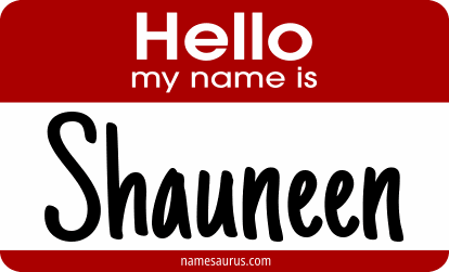 Hello my name is Shauneen png download
