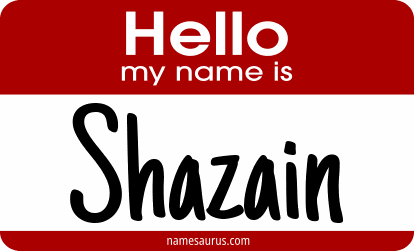 Hello my name is Shazain png download
