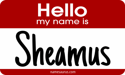 Hello my name is Sheamus png download