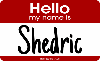 Hello my name is Shedric png download