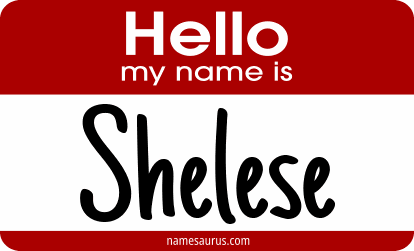 Hello my name is Shelese png download