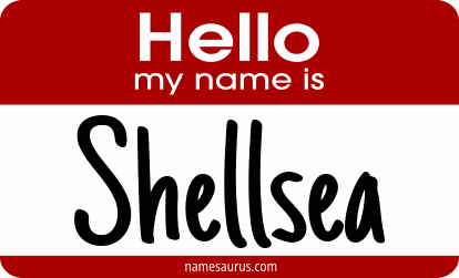 Hello my name is Shellsea png download