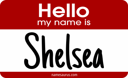 Hello my name is Shelsea png download