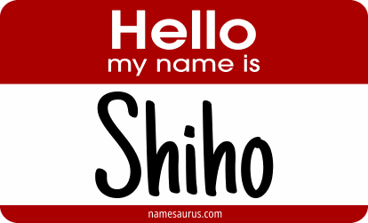 Hello my name is Shiho png download