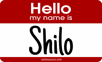 Hello my name is Shilo png download