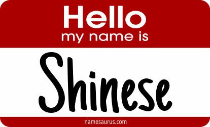 Hello my name is Shinese png download