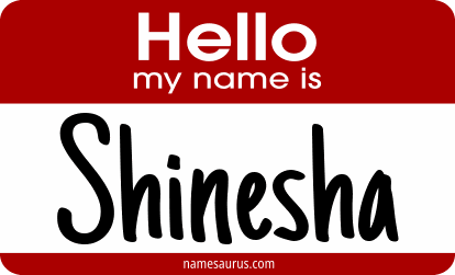 Hello my name is Shinesha png download