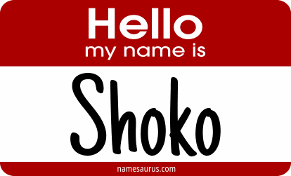 Hello my name is Shoko png download