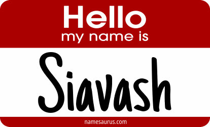 Hello my name is Siavash png download
