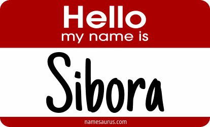 Hello my name is Sibora png download