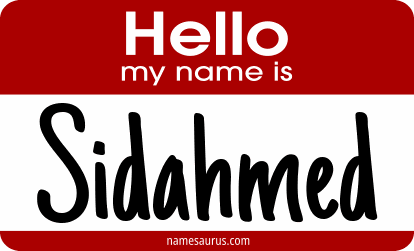 Hello my name is Sidahmed png download
